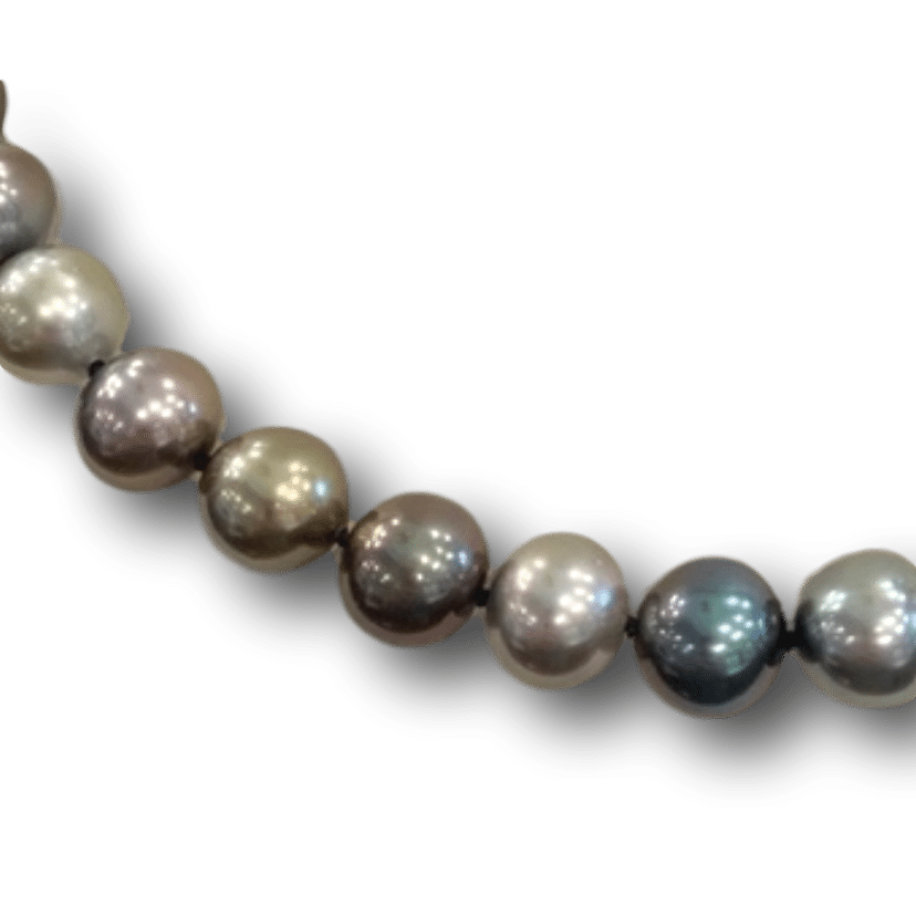 Multi-color Tahitian Pearls Necklace | Copeland Jewelers