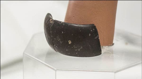 oldest ever found stone bracelet